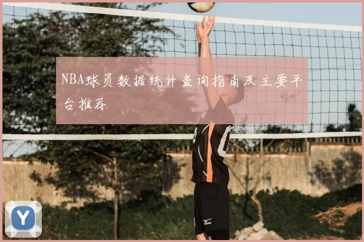 NBA球员数据统计查询指南及主要平台推荐