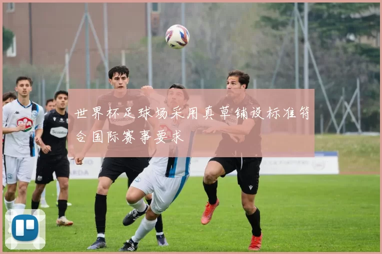 世界杯足球场采用真草铺设标准符合国际赛事要求