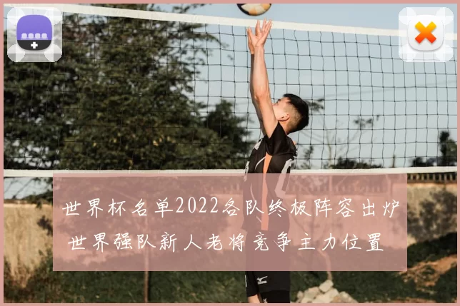 世界杯名单2022各队终极阵容出炉 世界强队新人老将竞争主力位置